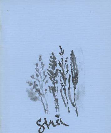 'Strå' book cover in Swedish