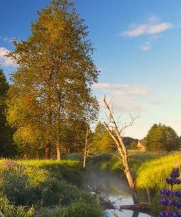 Russian landscape