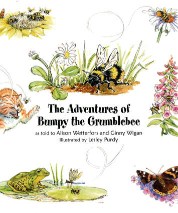 Bookcover with illustrations
