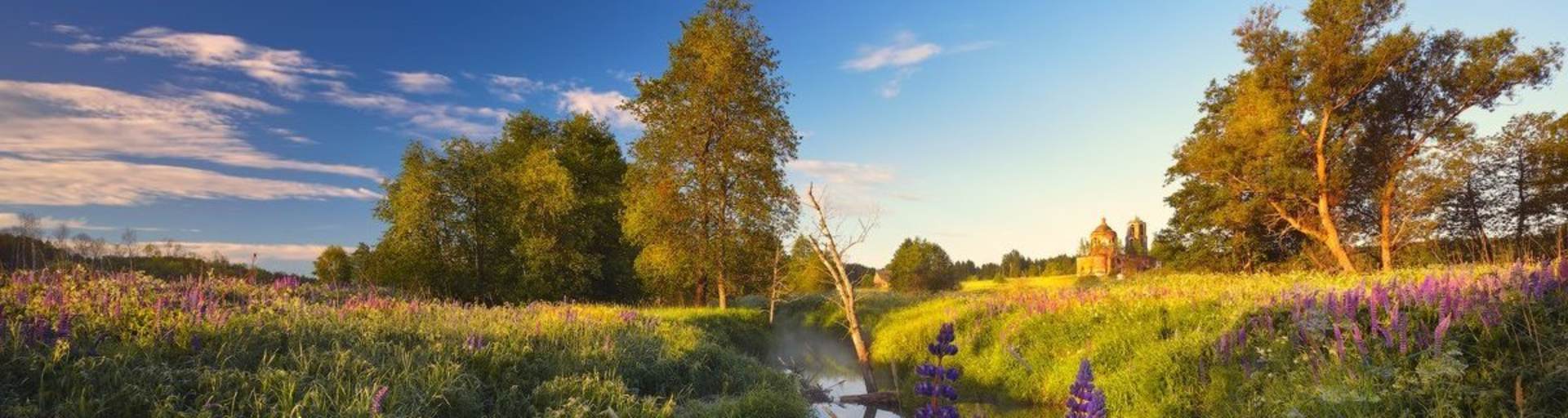 Russian landscape