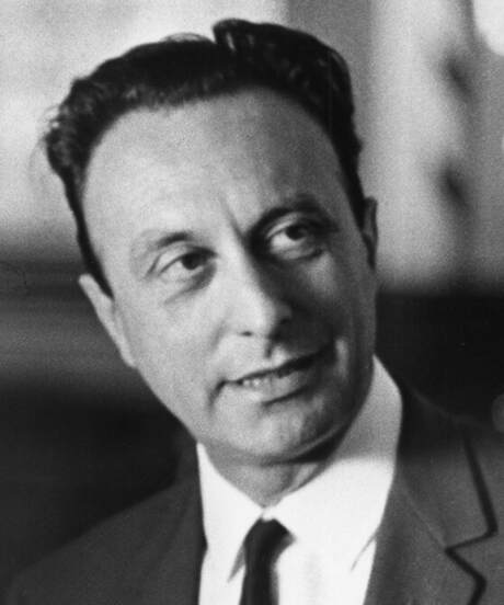 Portrait of Armando Bertorelle