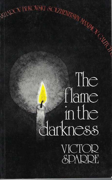 The flame in the darkness, book cover