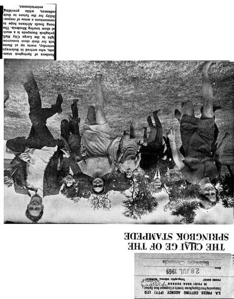 Cover of The Charge of the Springbok Stampede