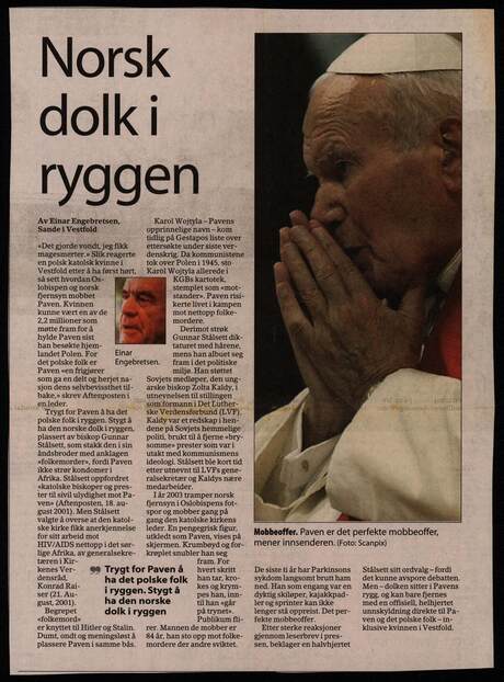 Cover of Norsk dolk i ryggen